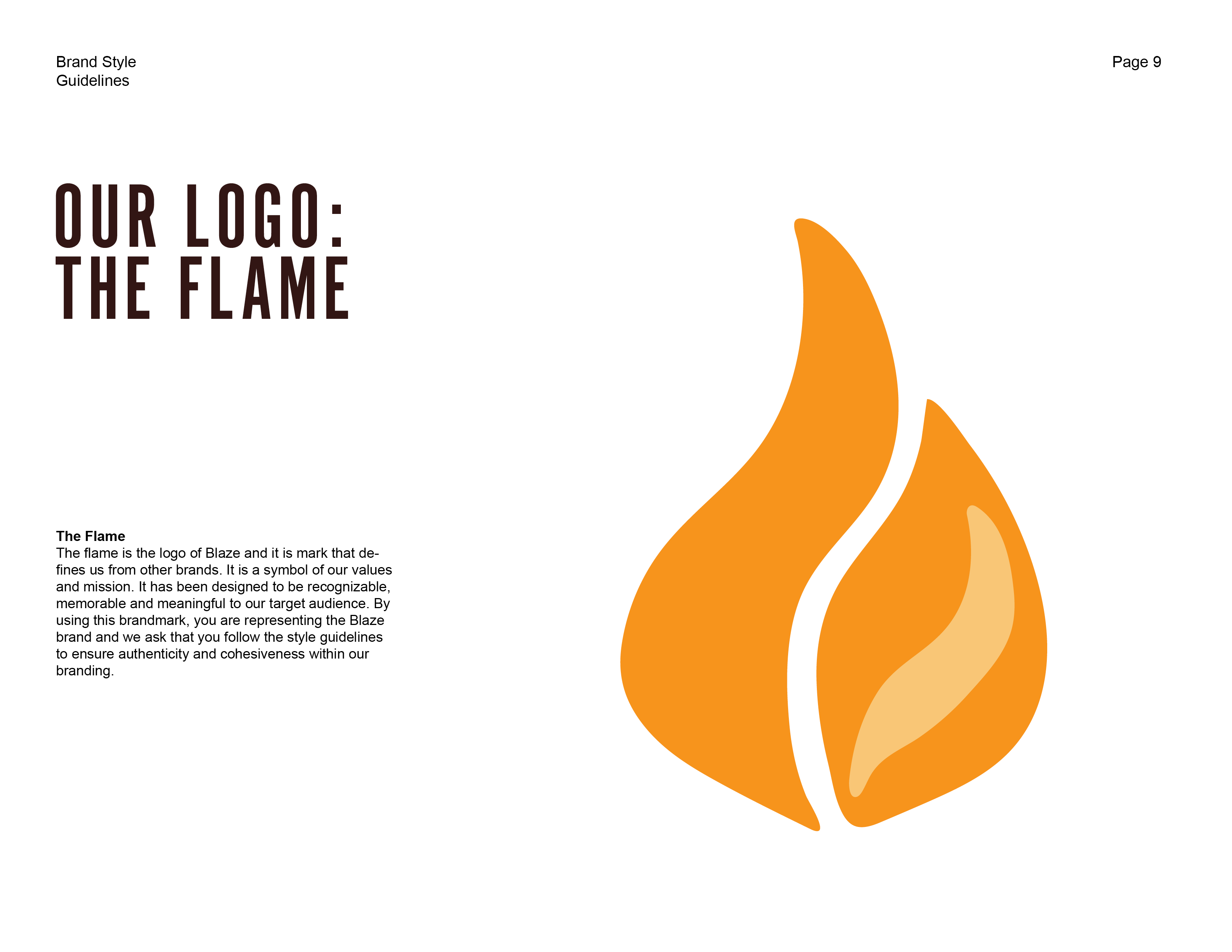 blaze_brand_styleguide9