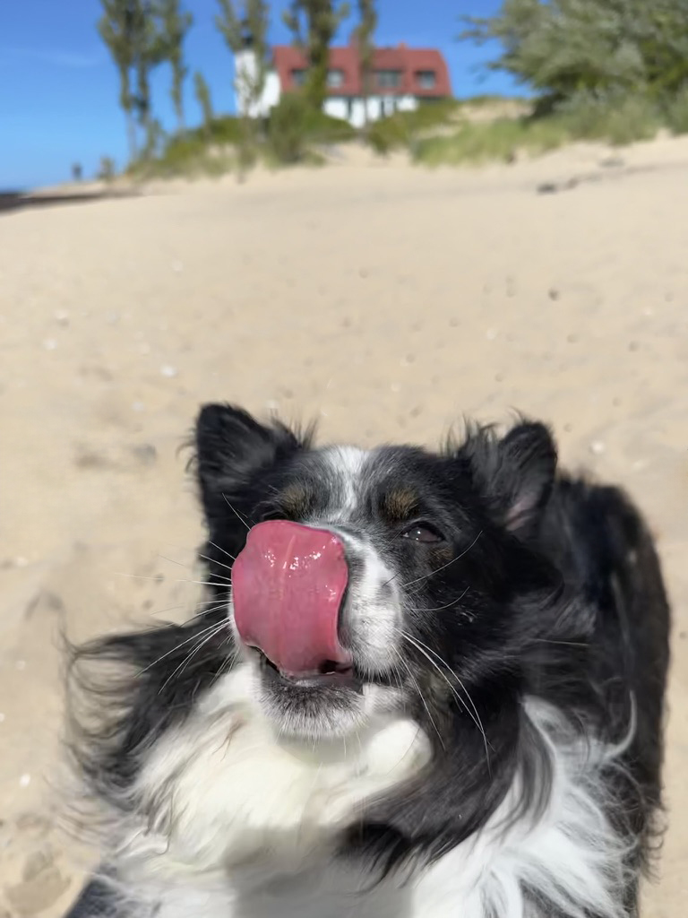 Ziggy tongue